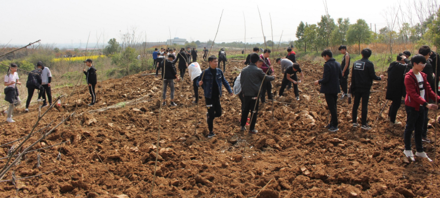 荊門職業(yè)學(xué)院組織學(xué)生開展義務(wù)植樹活動
