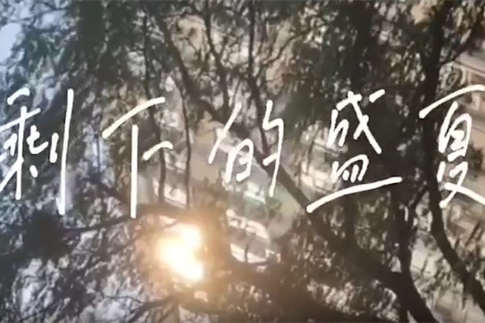 《剩下的盛夏》 電子信息系
